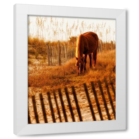 Solitary Light White Modern Wood Framed Art Print by PHBurchett