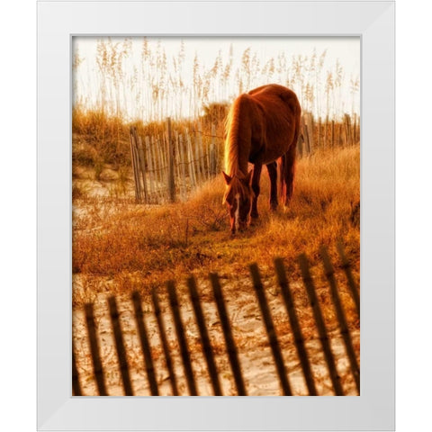 Solitary Light White Modern Wood Framed Art Print by PHBurchett