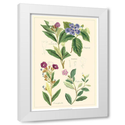 Dietrich Botanical I White Modern Wood Framed Art Print by Dietrich