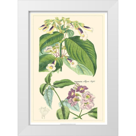 Dietrich Botanical II White Modern Wood Framed Art Print by Dietrich