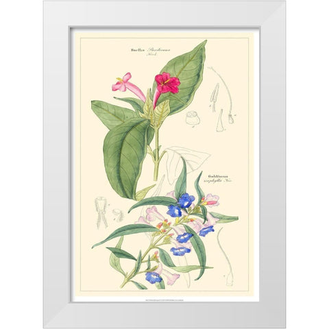Dietrich Botanical IV White Modern Wood Framed Art Print by Dietrich