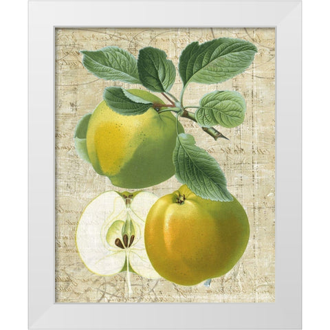 Orchard Medley I White Modern Wood Framed Art Print by Vision Studio