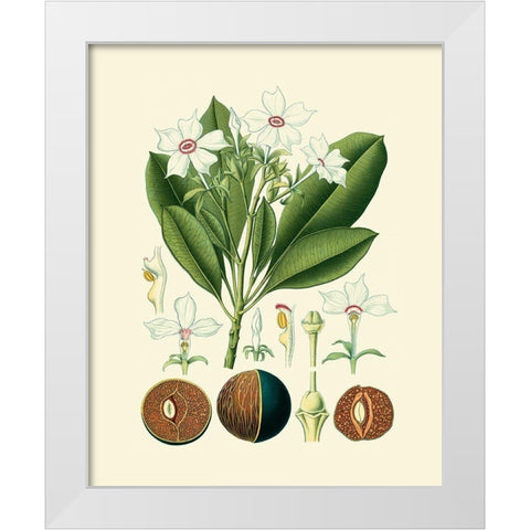 Botanical Glory IV White Modern Wood Framed Art Print by Vision Studio