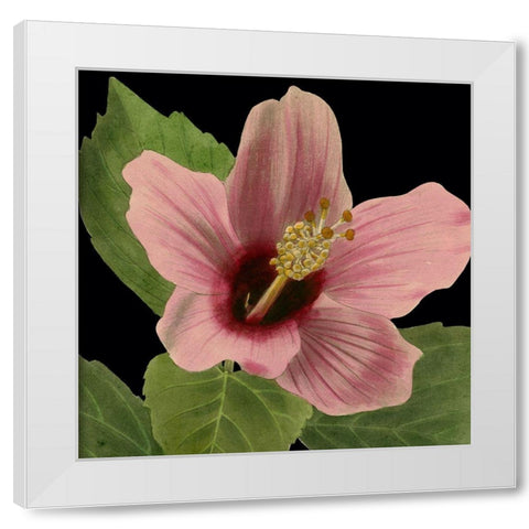 Dramatic Tropical Vision II White Modern Wood Framed Art Print by Vision Studio