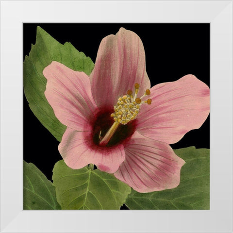 Dramatic Tropical Vision II White Modern Wood Framed Art Print by Vision Studio