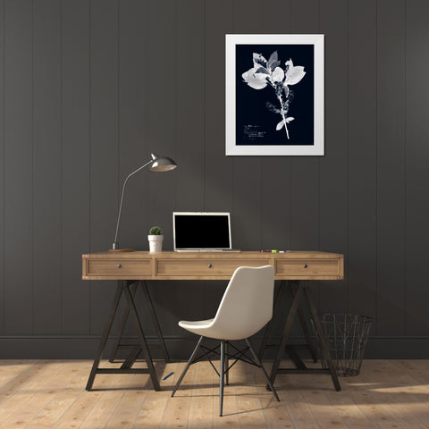 Impressions on Indigo I White Modern Wood Framed Art Print by Vision Studio