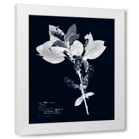 Impressions on Indigo I White Modern Wood Framed Art Print by Vision Studio