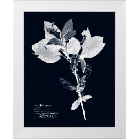 Impressions on Indigo I White Modern Wood Framed Art Print by Vision Studio