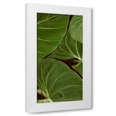 Patterned Nature III White Modern Wood Framed Art Print by Vision Studio