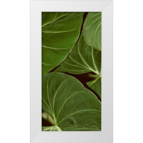Patterned Nature III White Modern Wood Framed Art Print by Vision Studio