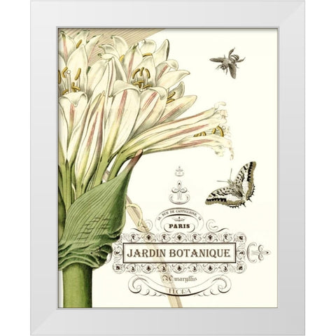 Jardin Botanique II White Modern Wood Framed Art Print by Vision Studio