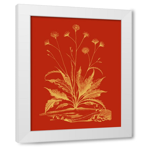Paprika Bouquet III White Modern Wood Framed Art Print by Vision Studio