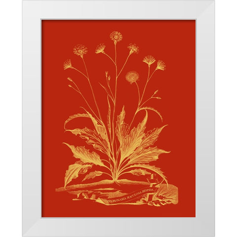 Paprika Bouquet III White Modern Wood Framed Art Print by Vision Studio