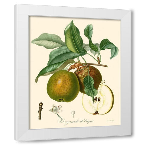 Bessa Pears White Modern Wood Framed Art Print by Bessa