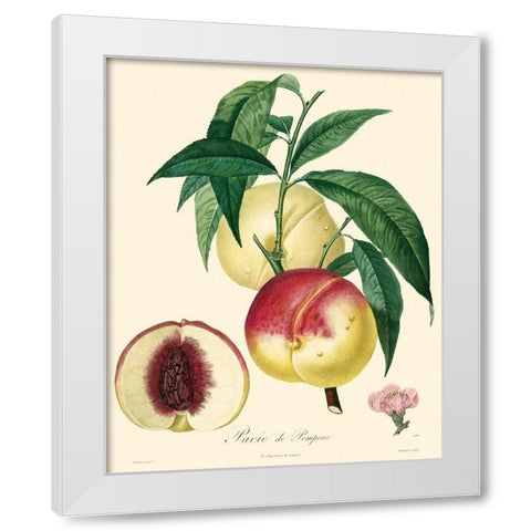 Bessa Peaches White Modern Wood Framed Art Print by Bessa