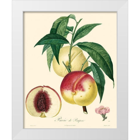 Bessa Peaches White Modern Wood Framed Art Print by Bessa