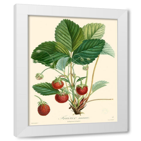 Bessa Strawberries White Modern Wood Framed Art Print by Bessa