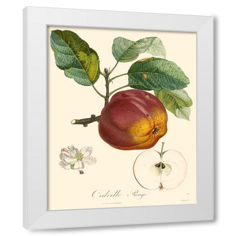 Bessa Apples White Modern Wood Framed Art Print by Bessa