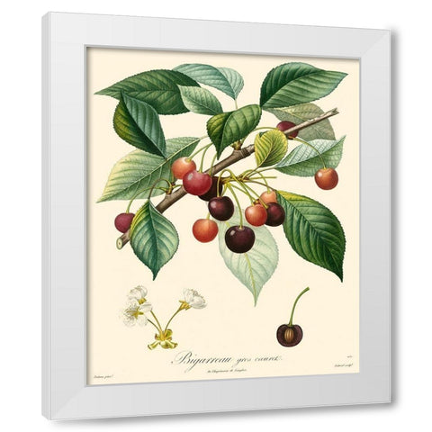 Bessa Cherries White Modern Wood Framed Art Print by Bessa