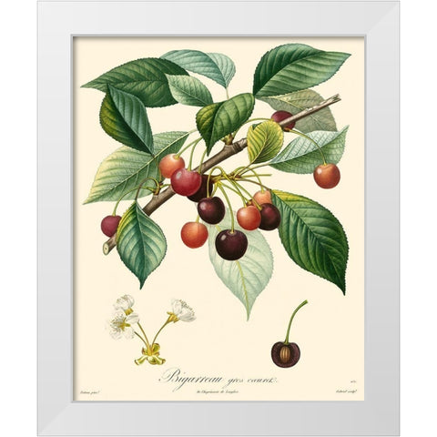 Bessa Cherries White Modern Wood Framed Art Print by Bessa