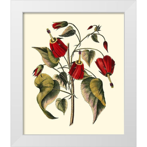 Jennas Flowers I White Modern Wood Framed Art Print by Sellier