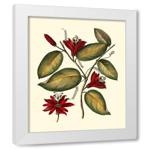 Jennas Flowers III White Modern Wood Framed Art Print by Sellier