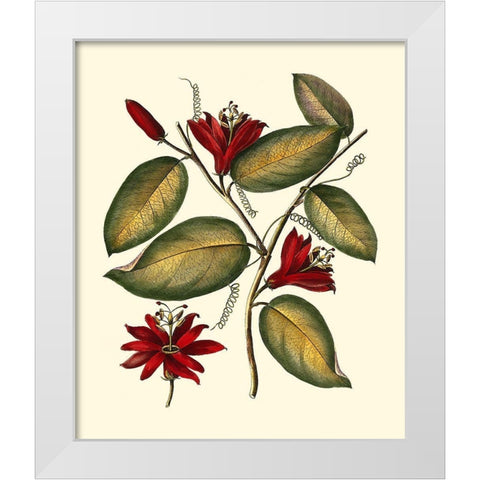 Jennas Flowers III White Modern Wood Framed Art Print by Sellier