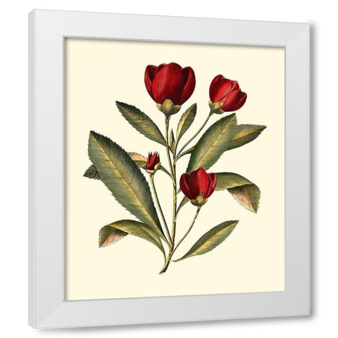 Jennas Flowers IV White Modern Wood Framed Art Print by Sellier