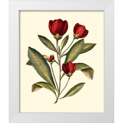 Jennas Flowers IV White Modern Wood Framed Art Print by Sellier