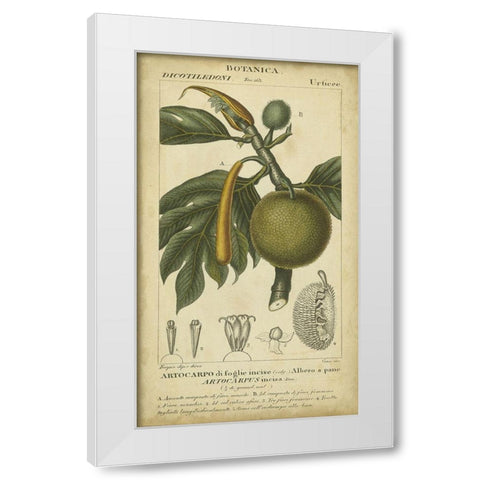 Exotic Botanica IV White Modern Wood Framed Art Print by Turpin