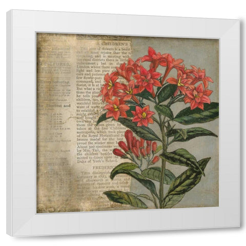 Vintage Fleur Rouge II White Modern Wood Framed Art Print by Meagher, Megan