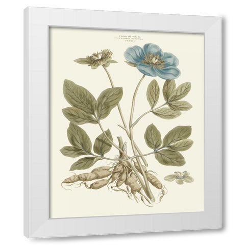 Bashful Blue Florals I White Modern Wood Framed Art Print by Miller, John