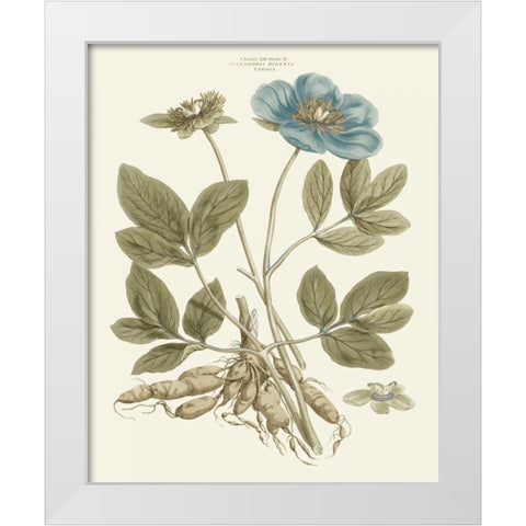 Bashful Blue Florals I White Modern Wood Framed Art Print by Miller, John