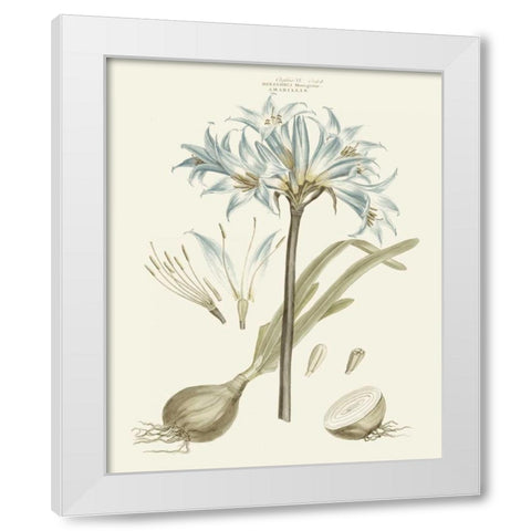 Bashful Blue Florals II White Modern Wood Framed Art Print by Miller, John
