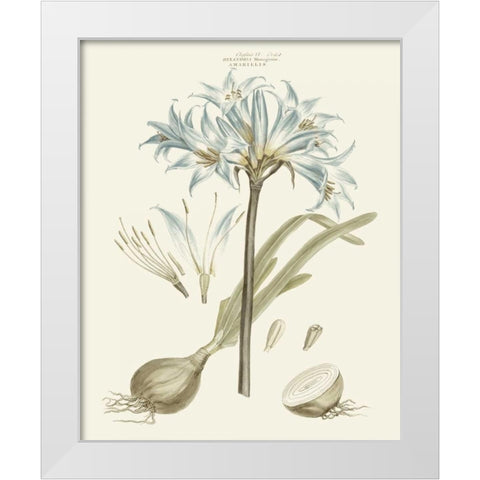 Bashful Blue Florals II White Modern Wood Framed Art Print by Miller, John