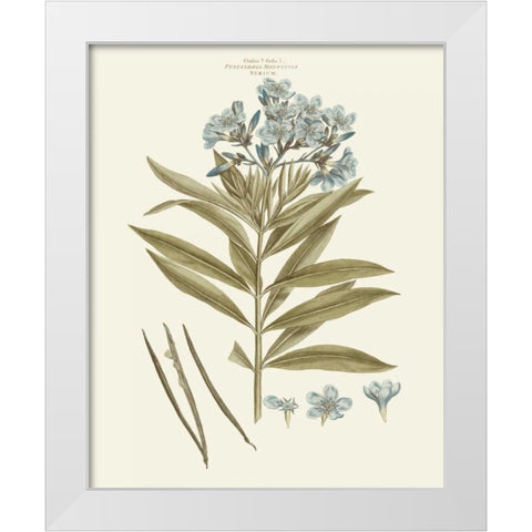 Bashful Blue Florals III White Modern Wood Framed Art Print by Miller, John