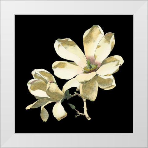 Midnight Magnolias I White Modern Wood Framed Art Print by Chabal Dussurgey