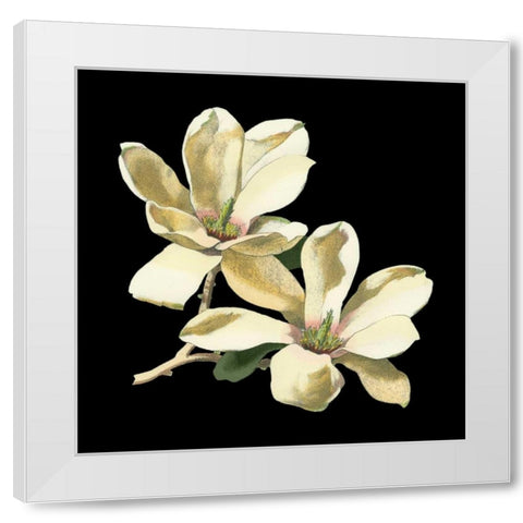 Midnight Magnolias II White Modern Wood Framed Art Print by Chabal Dussurgey