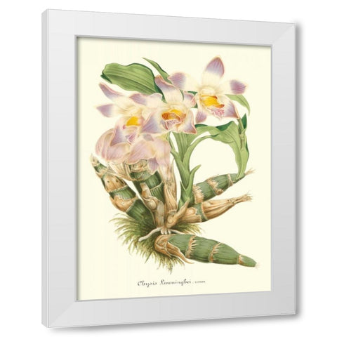 Lavender Orchids I White Modern Wood Framed Art Print by Stroobant, P.