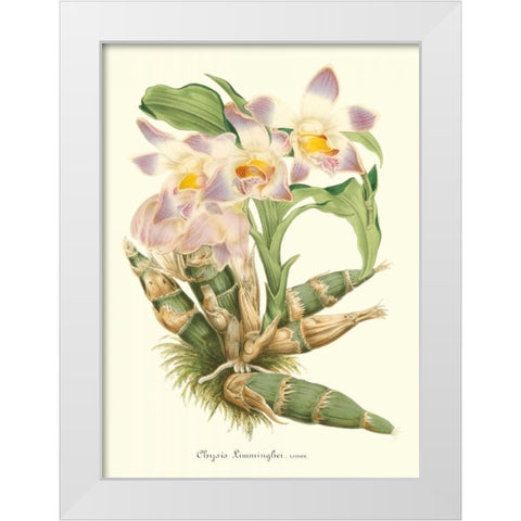 Lavender Orchids I White Modern Wood Framed Art Print by Stroobant, P.