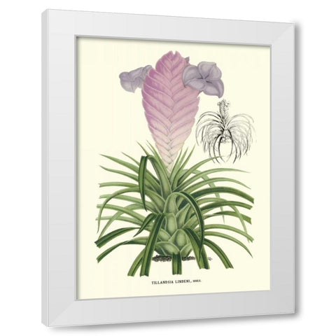 Lavender Orchids III White Modern Wood Framed Art Print by Stroobant, P.