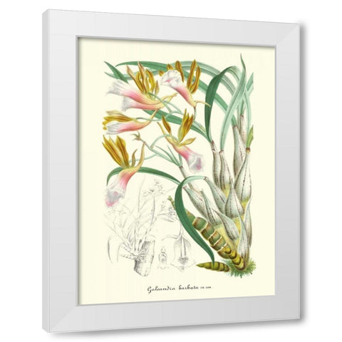 Lavender Orchids IV White Modern Wood Framed Art Print by Stroobant, P.