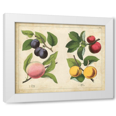 Kitchen Fruits I White Modern Wood Framed Art Print by Unknown