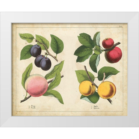 Kitchen Fruits I White Modern Wood Framed Art Print by Unknown