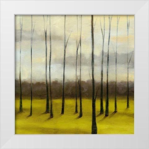 Sunlit Treeline I White Modern Wood Framed Art Print by Goldberger, Jennifer