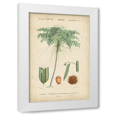Tropical Botanique IV White Modern Wood Framed Art Print by Vision Studio