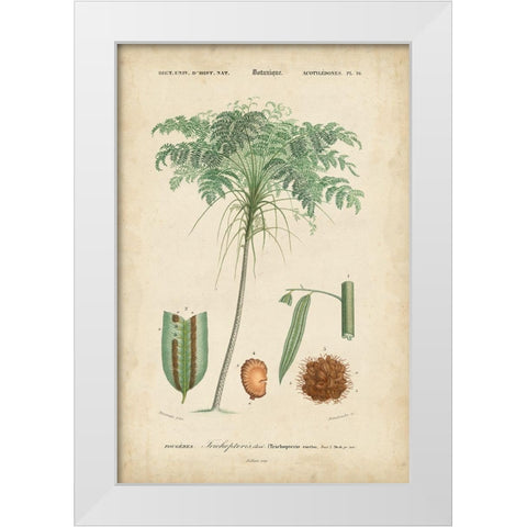 Tropical Botanique IV White Modern Wood Framed Art Print by Vision Studio
