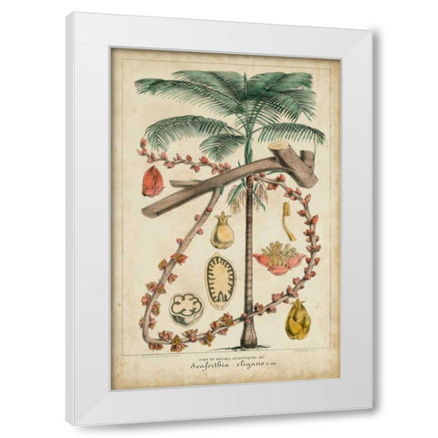Palma Exotica II White Modern Wood Framed Art Print by Vision Studio