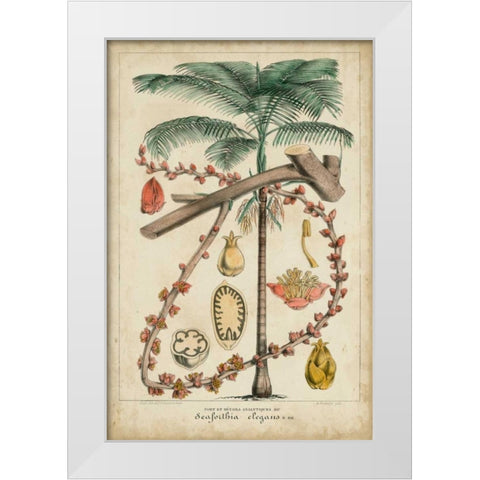 Palma Exotica II White Modern Wood Framed Art Print by Vision Studio