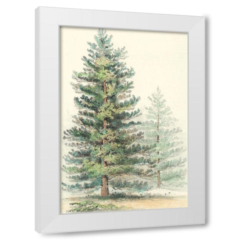 Majestic Pine I White Modern Wood Framed Art Print by Unknown